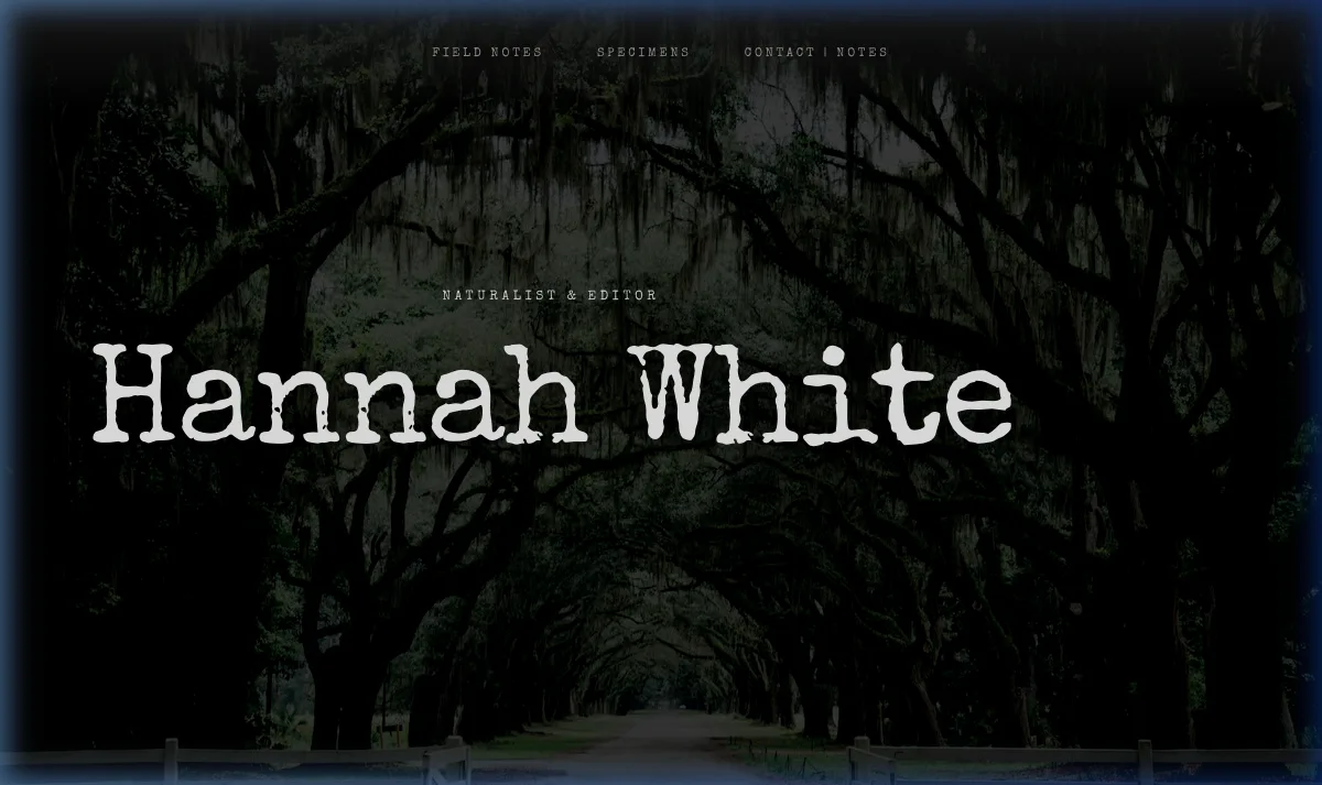 Hannah White portfolio preview